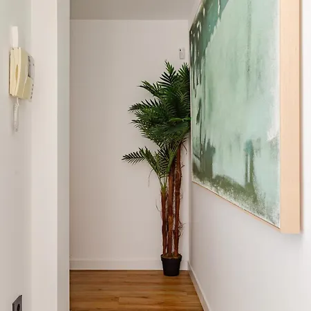 Nuevo Estudio En El Centro De - 11 Noches Minimo * Denia
