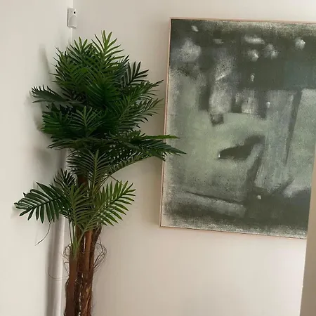 Nuevo Estudio En El Centro De - 11 Noches Minimo Apartman Denia